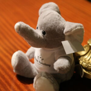 Maskotka - Słoń z koszulką z logo Muzeum